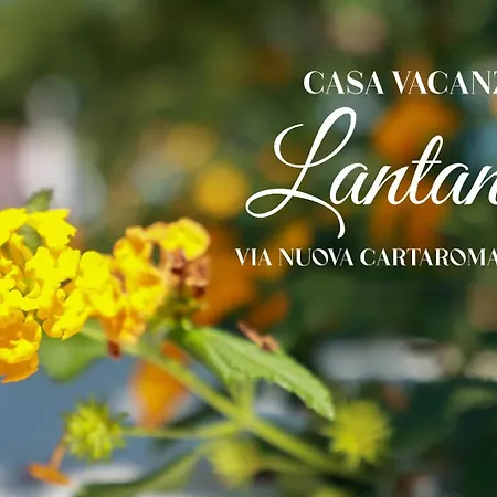 Lantana Holiday home Ischia
