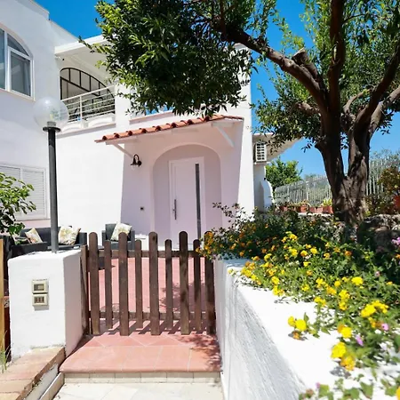 Lantana * Искья